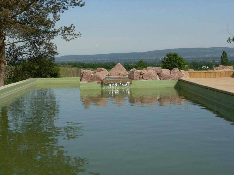 amenagement-aquatique-tendance-nature-realisation (1)