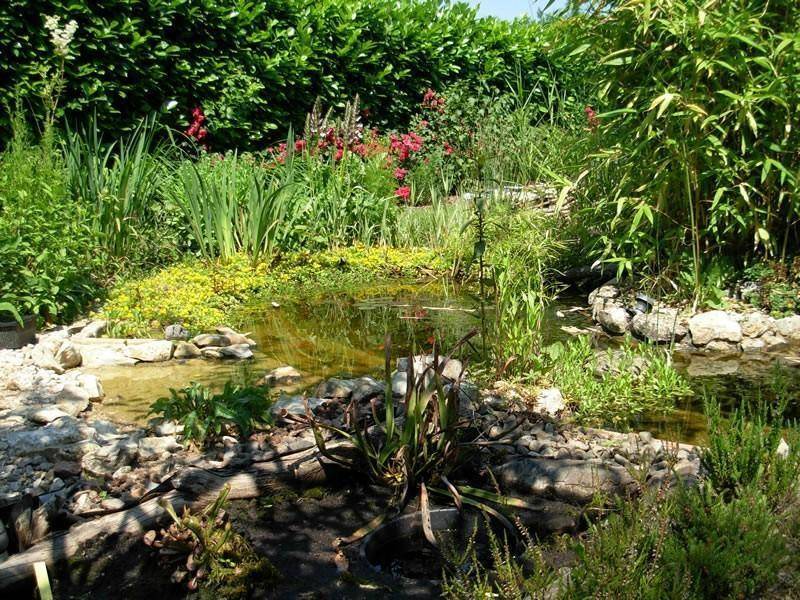 amenagement-aquatique-tendance-nature-realisation (2)
