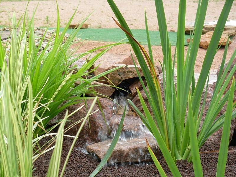 amenagement-aquatique-tendance-nature-realisation (5)