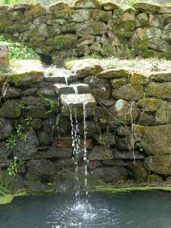 amenagement-aquatique-tendance-nature-realisation (6)