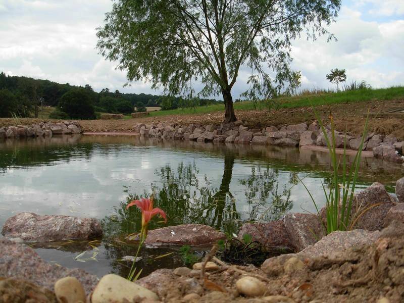 amenagement-aquatique-tendance-nature-realisation (7)