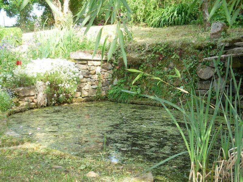 amenagement-aquatique-tendance-nature-realisation (8)